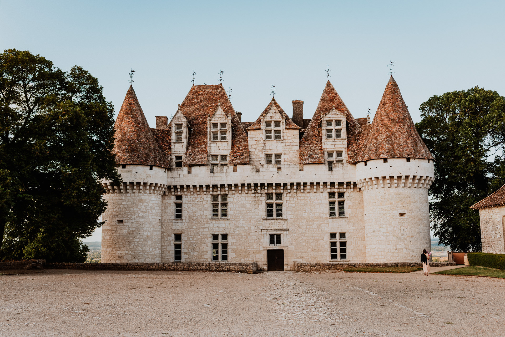 Castle Vineyard Venue France